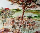 Broussailles en fleurs